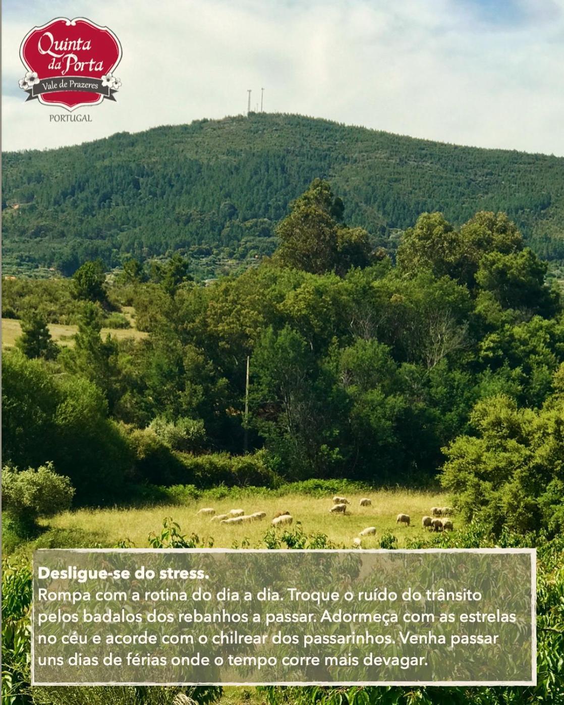 Quinta Da Porta - Solar De Vale de Prazeres